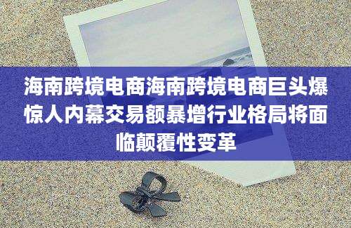 海南跨境电商海南跨境电商巨头爆惊人内幕交易额暴增行业格局将面临颠覆性变革