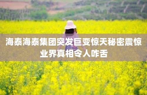 海泰海泰集团突发巨变惊天秘密震惊业界真相令人咋舌