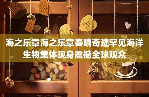 海之乐章海之乐章奏响奇迹罕见海洋生物集体现身震撼全球观众