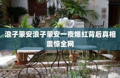 浪子蒙安浪子蒙安一夜爆红背后真相震惊全网