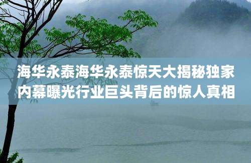 海华永泰海华永泰惊天大揭秘独家内幕曝光行业巨头背后的惊人真相