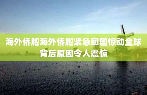 海外侨胞海外侨胞紧急回国惊动全球背后原因令人震惊