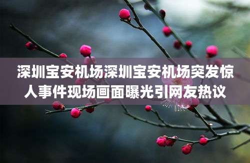 深圳宝安机场深圳宝安机场突发惊人事件现场画面曝光引网友热议