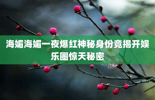 海媚海媚一夜爆红神秘身份竟揭开娱乐圈惊天秘密