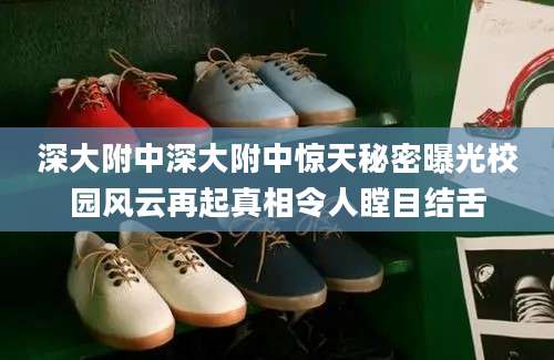 深大附中深大附中惊天秘密曝光校园风云再起真相令人瞠目结舌