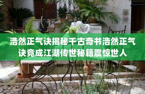 浩然正气诀揭秘千古奇书浩然正气诀竟成江湖传世秘籍震惊世人