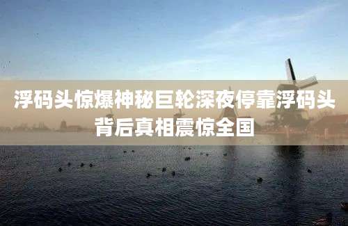 浮码头惊爆神秘巨轮深夜停靠浮码头背后真相震惊全国