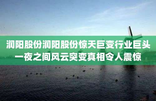 润阳股份润阳股份惊天巨变行业巨头一夜之间风云突变真相令人震惊
