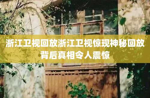 浙江卫视回放浙江卫视惊现神秘回放背后真相令人震惊