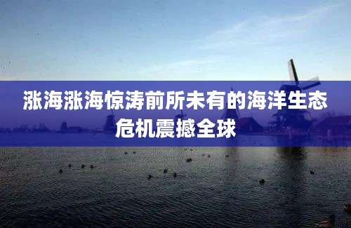 涨海涨海惊涛前所未有的海洋生态危机震撼全球