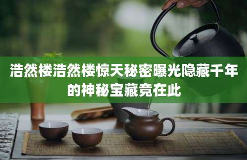 浩然楼浩然楼惊天秘密曝光隐藏千年的神秘宝藏竟在此