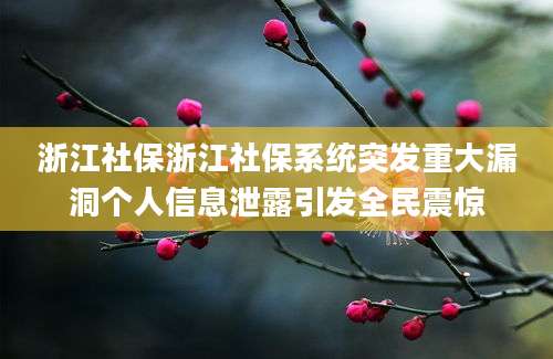 浙江社保浙江社保系统突发重大漏洞个人信息泄露引发全民震惊
