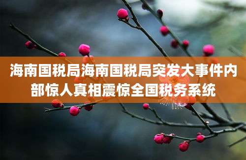 海南国税局海南国税局突发大事件内部惊人真相震惊全国税务系统