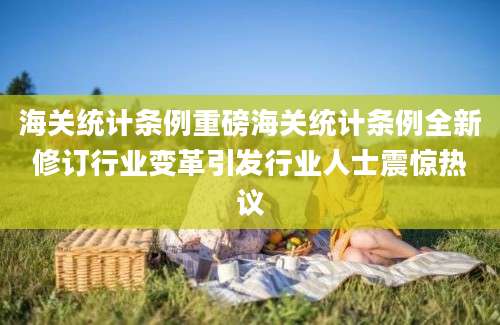 海关统计条例重磅海关统计条例全新修订行业变革引发行业人士震惊热议