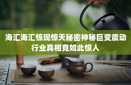 海汇海汇惊现惊天秘密神秘巨变震动行业真相竟如此惊人