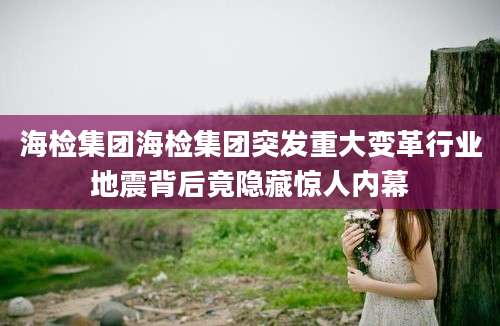 海检集团海检集团突发重大变革行业地震背后竟隐藏惊人内幕