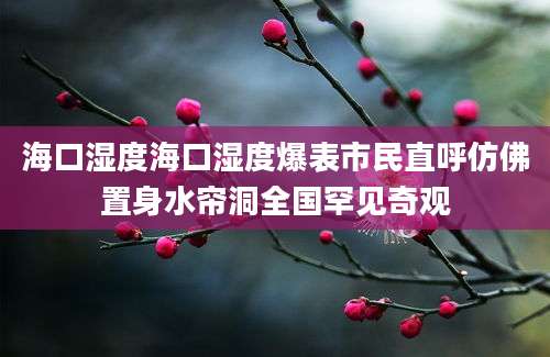 海口湿度海口湿度爆表市民直呼仿佛置身水帘洞全国罕见奇观