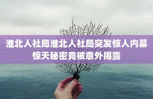 淮北人社局淮北人社局突发惊人内幕惊天秘密竟被意外揭露