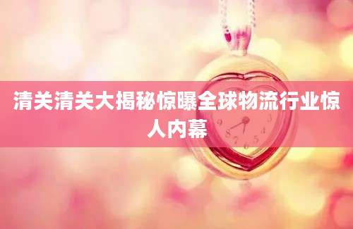 清关清关大揭秘惊曝全球物流行业惊人内幕