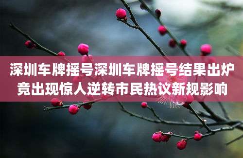 深圳车牌摇号深圳车牌摇号结果出炉竟出现惊人逆转市民热议新规影响
