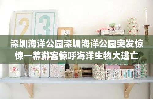 深圳海洋公园深圳海洋公园突发惊悚一幕游客惊呼海洋生物大逃亡