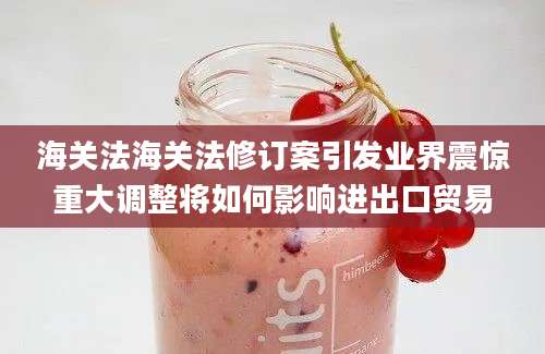 海关法海关法修订案引发业界震惊重大调整将如何影响进出口贸易