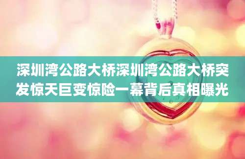 深圳湾公路大桥深圳湾公路大桥突发惊天巨变惊险一幕背后真相曝光