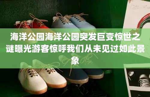 海洋公园海洋公园突发巨变惊世之谜曝光游客惊呼我们从未见过如此景象