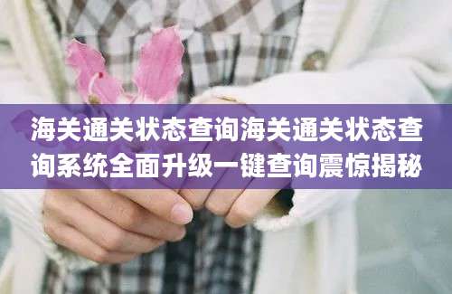 海关通关状态查询海关通关状态查询系统全面升级一键查询震惊揭秘
