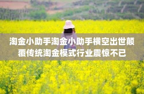 淘金小助手淘金小助手横空出世颠覆传统淘金模式行业震惊不已