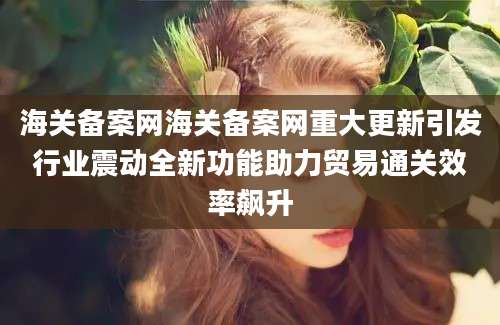 海关备案网海关备案网重大更新引发行业震动全新功能助力贸易通关效率飙升