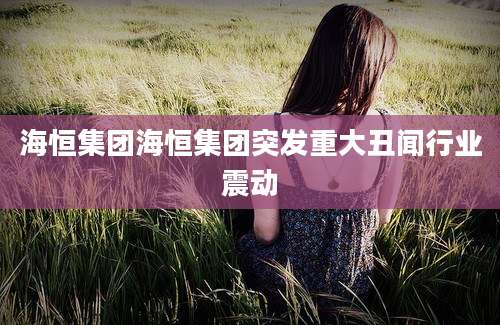 海恒集团海恒集团突发重大丑闻行业震动