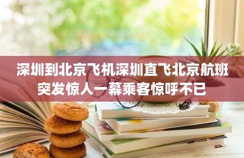 深圳到北京飞机深圳直飞北京航班突发惊人一幕乘客惊呼不已