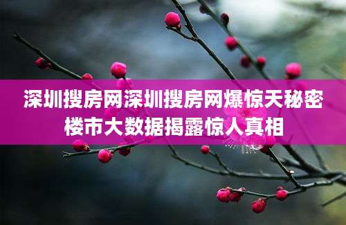 深圳搜房网深圳搜房网爆惊天秘密楼市大数据揭露惊人真相