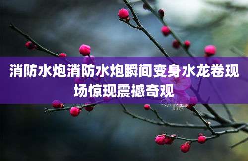 消防水炮消防水炮瞬间变身水龙卷现场惊现震撼奇观