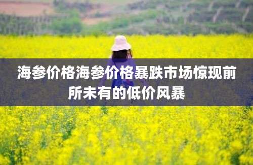 海参价格海参价格暴跌市场惊现前所未有的低价风暴