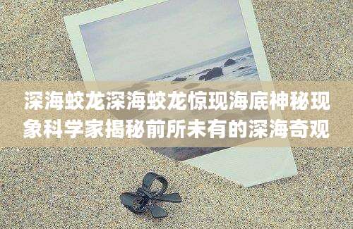 深海蛟龙深海蛟龙惊现海底神秘现象科学家揭秘前所未有的深海奇观