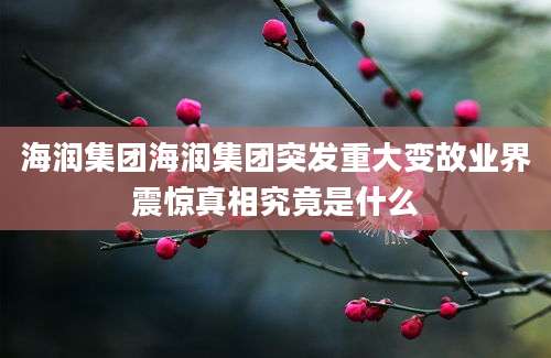 海润集团海润集团突发重大变故业界震惊真相究竟是什么