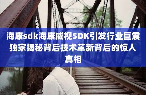 海康sdk海康威视SDK引发行业巨震独家揭秘背后技术革新背后的惊人真相