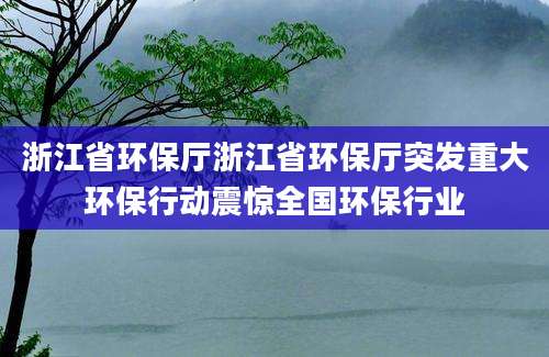 浙江省环保厅浙江省环保厅突发重大环保行动震惊全国环保行业