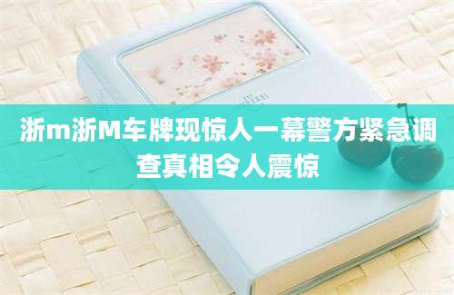 浙m浙M车牌现惊人一幕警方紧急调查真相令人震惊