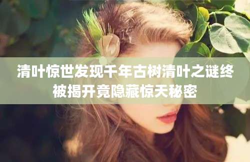 清叶惊世发现千年古树清叶之谜终被揭开竟隐藏惊天秘密