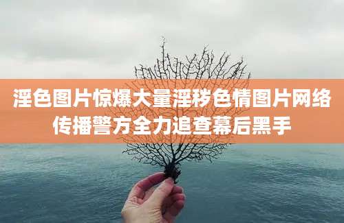 淫色图片惊爆大量淫秽色情图片网络传播警方全力追查幕后黑手