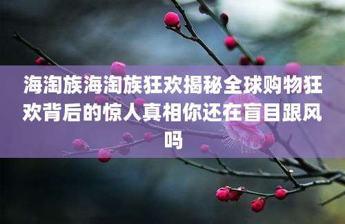 海淘族海淘族狂欢揭秘全球购物狂欢背后的惊人真相你还在盲目跟风吗