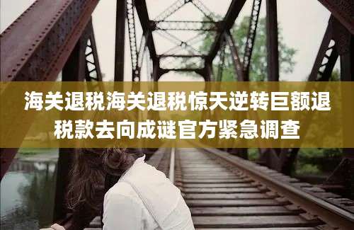 海关退税海关退税惊天逆转巨额退税款去向成谜官方紧急调查