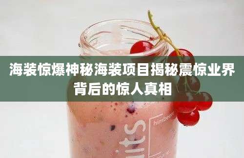 海装惊爆神秘海装项目揭秘震惊业界背后的惊人真相