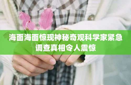 海面海面惊现神秘奇观科学家紧急调查真相令人震惊