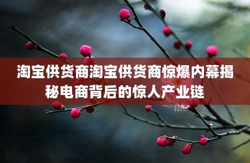 淘宝供货商淘宝供货商惊爆内幕揭秘电商背后的惊人产业链