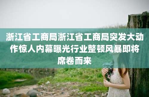 浙江省工商局浙江省工商局突发大动作惊人内幕曝光行业整顿风暴即将席卷而来