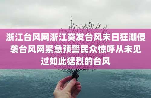 浙江台风网浙江突发台风末日狂潮侵袭台风网紧急预警民众惊呼从未见过如此猛烈的台风